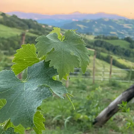 Holiday home Casa Tincana