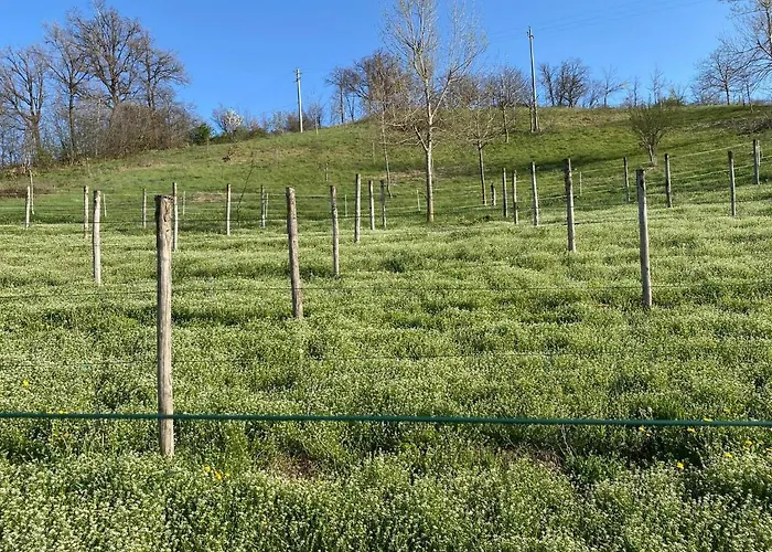 Casa Tincana Holiday home Bebbio