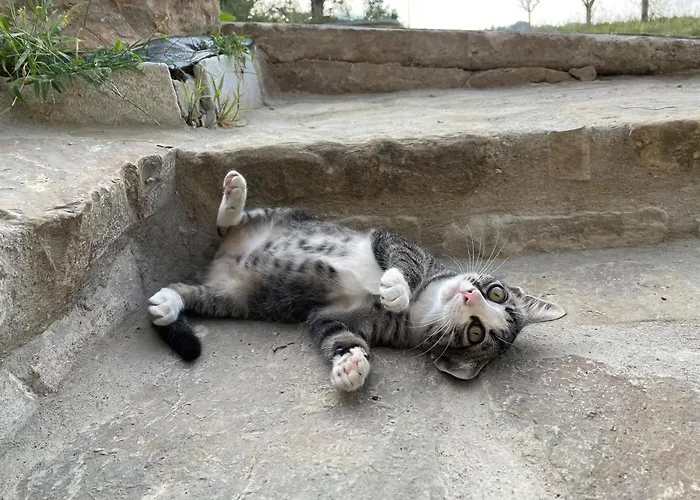 Casa Tincana * Bebbio