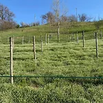 Casa Tincana Сasa de vacaciones Bebbio