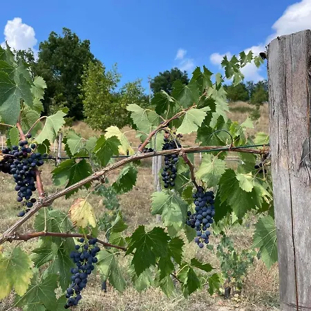 بيت للعطل Casa Tincana