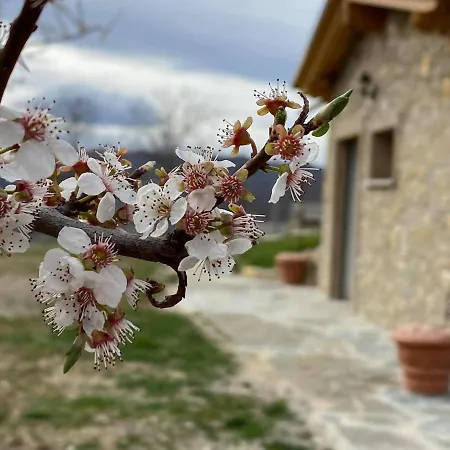 Casa Tincana Casa vacanze