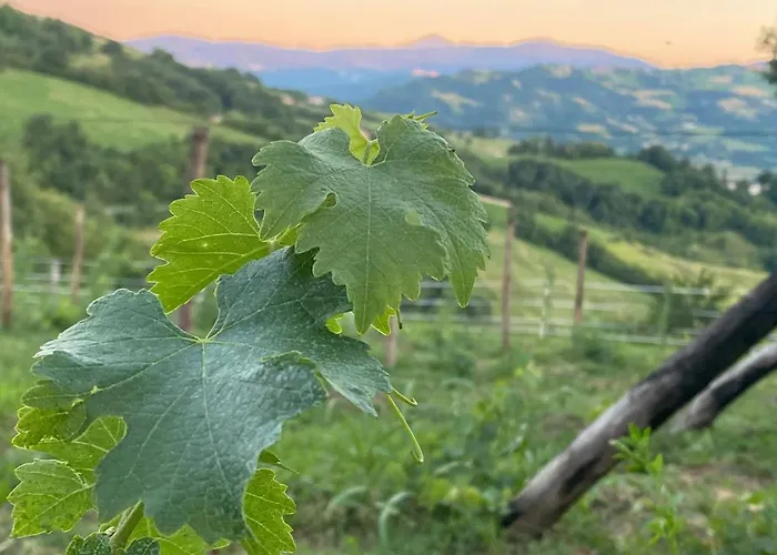Hébergement de vacances Casa Tincana