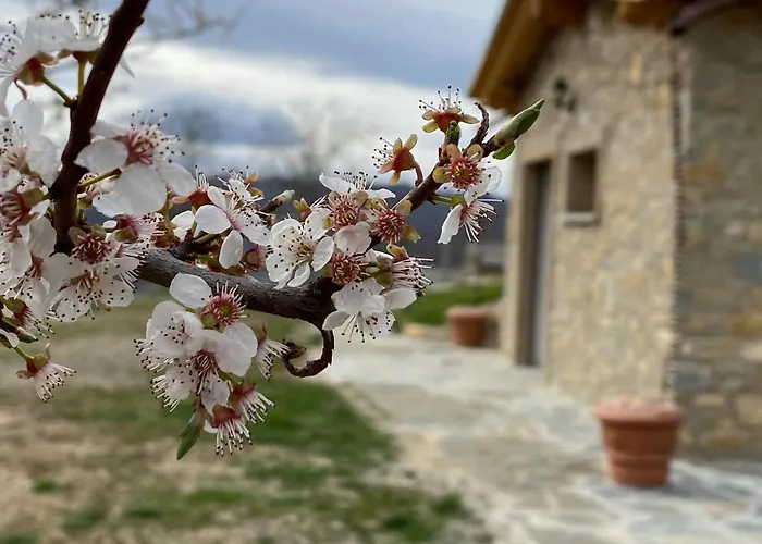 Casa Tincana Tatil Evi